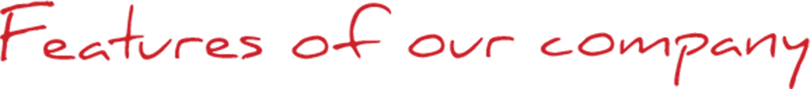 Features of our company